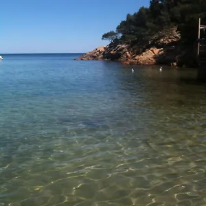 Splendide 6 P à 150 M Plage, à Pied Appartement
